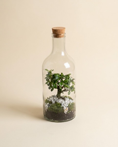 Green Bonsai Bottle – vue 2