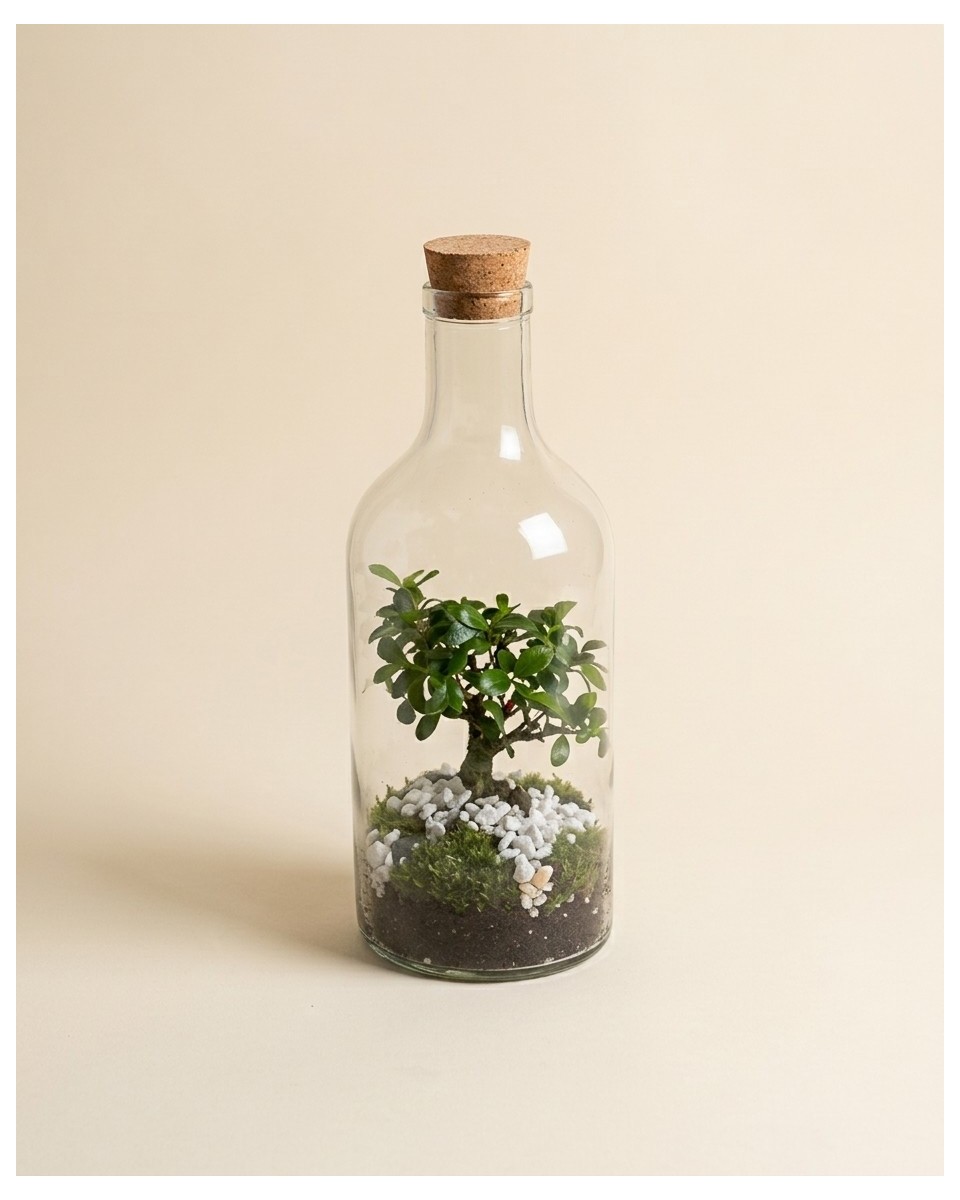 Green Bonsai Bottle – vue 2