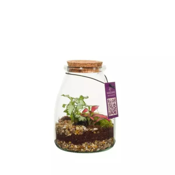 Terrarium IO