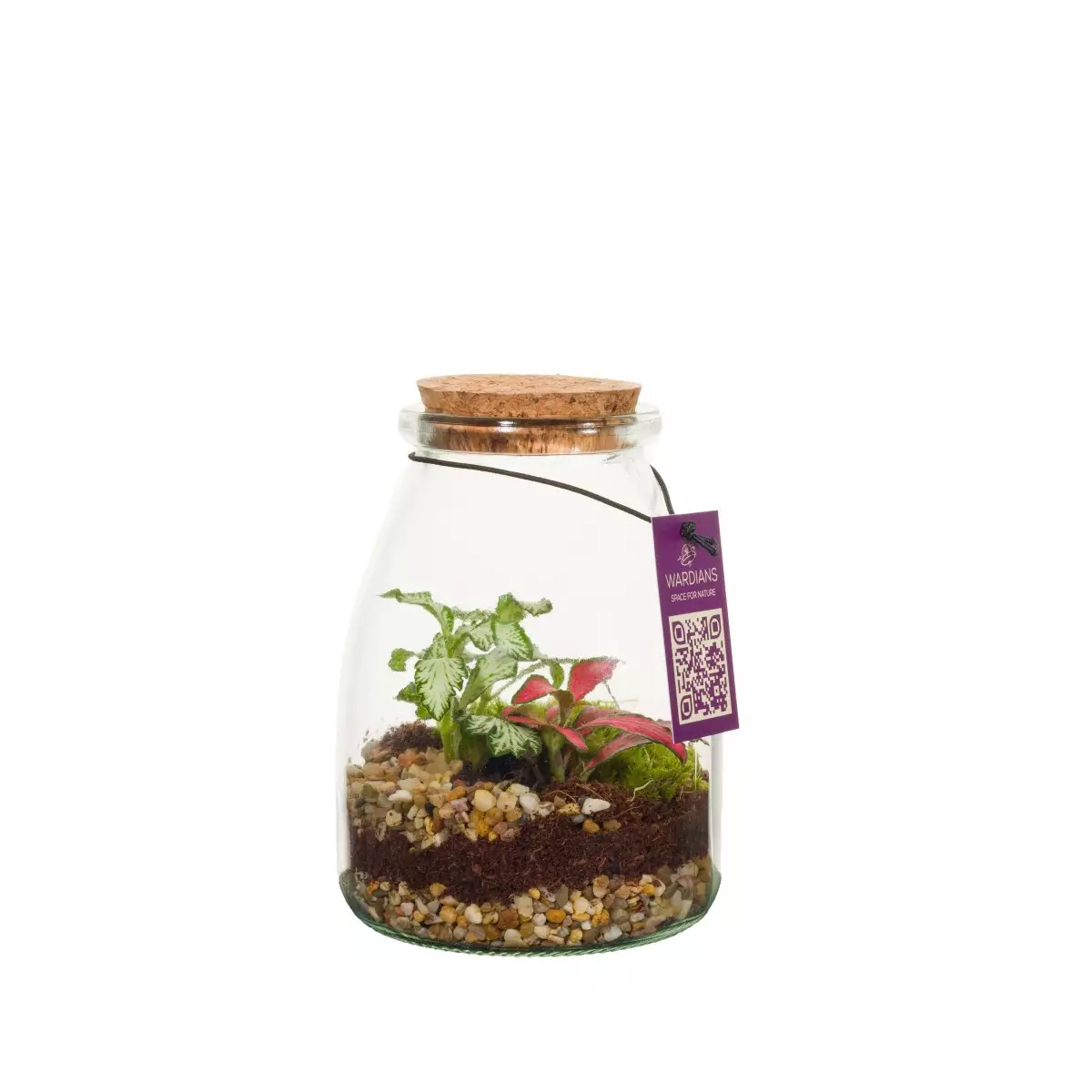 Terrarium IO