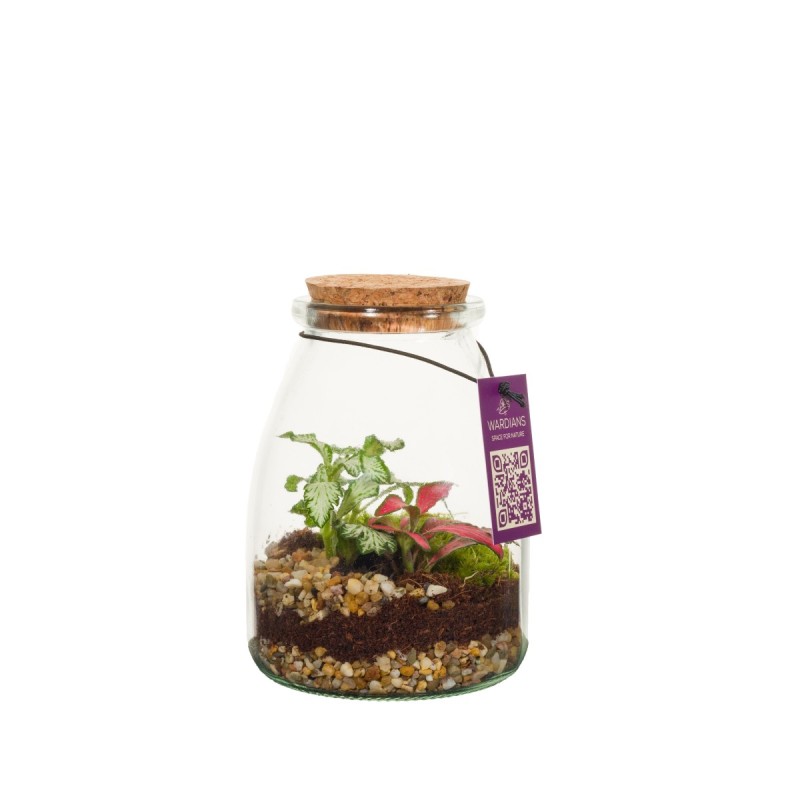 Terrarium IO