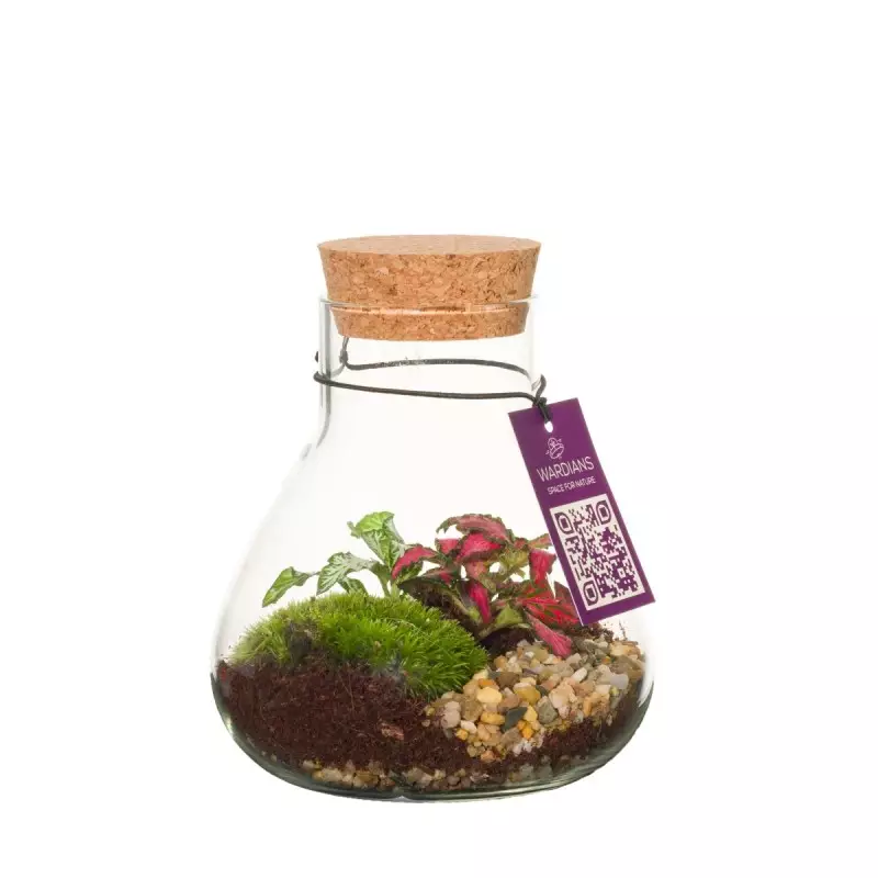 Terrarium Erlenmeyer