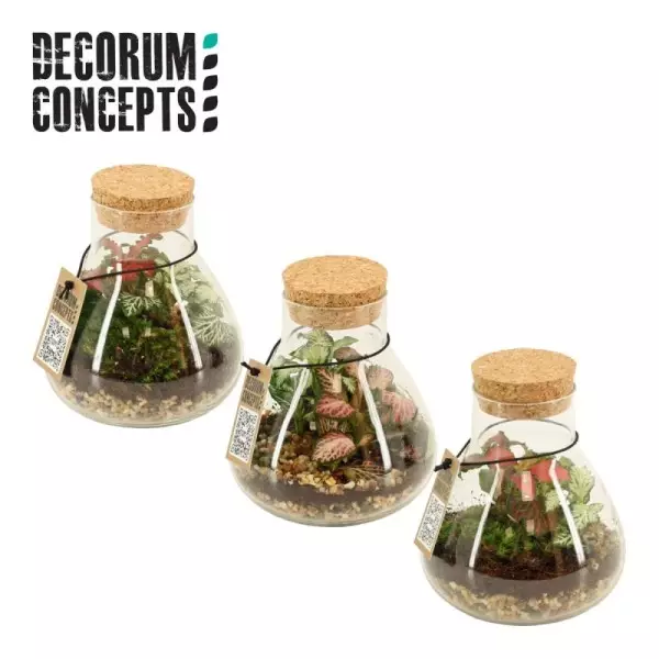 Terrarium Erlenmeyer nano