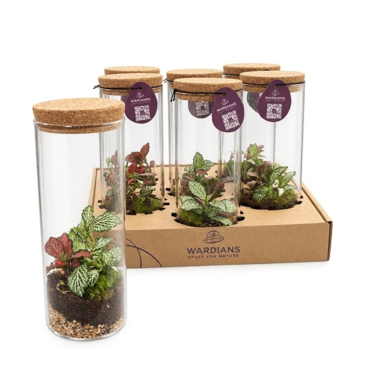 Terrarium Vesta