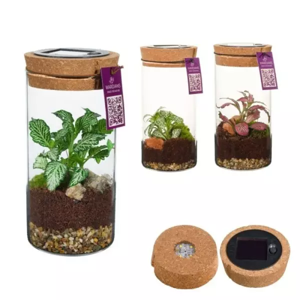 Terrarium Sirius