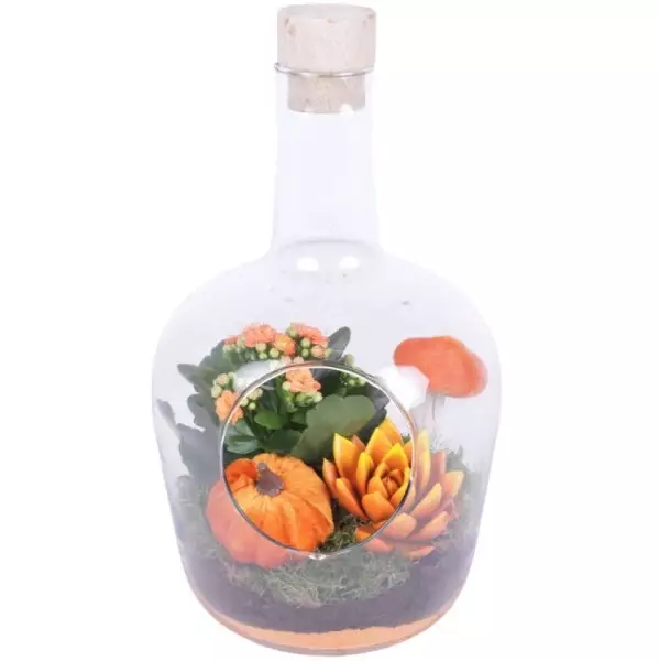 Terrarium en verre avec composition végétale – H 30 cm · Ø 18 cm