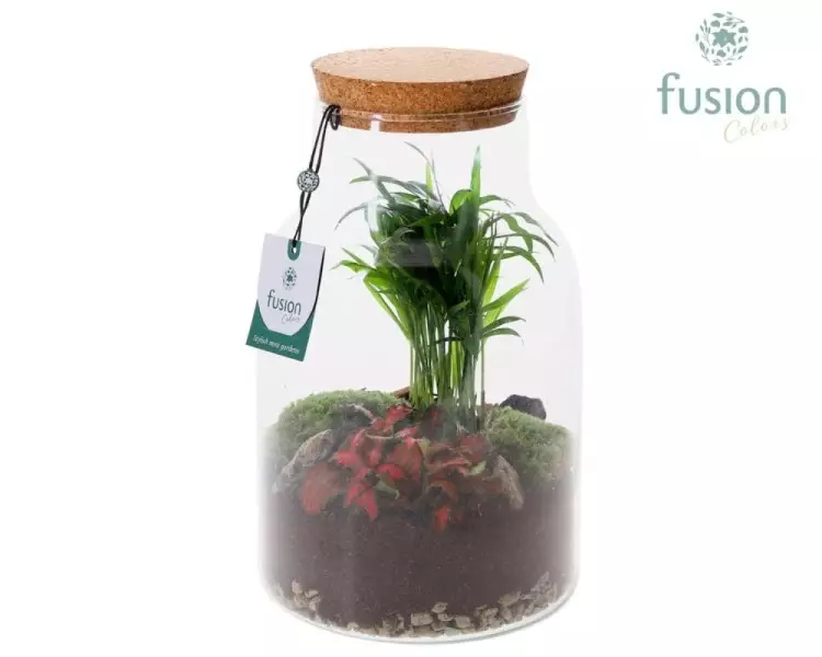 Terrarium pot à lait en verre