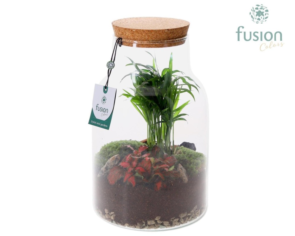 Terrarium pot à lait en verre