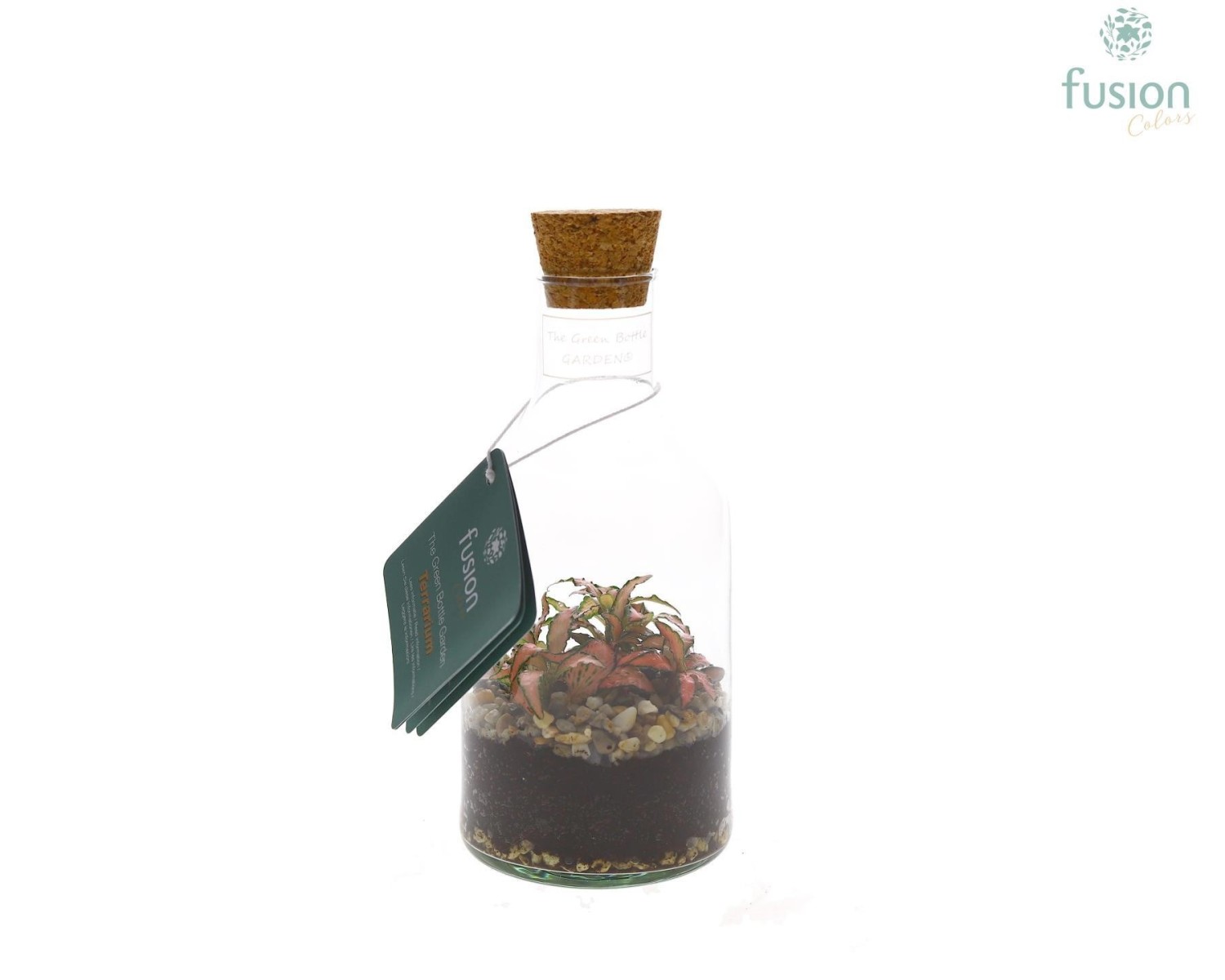 Terrarium bouteille en verre