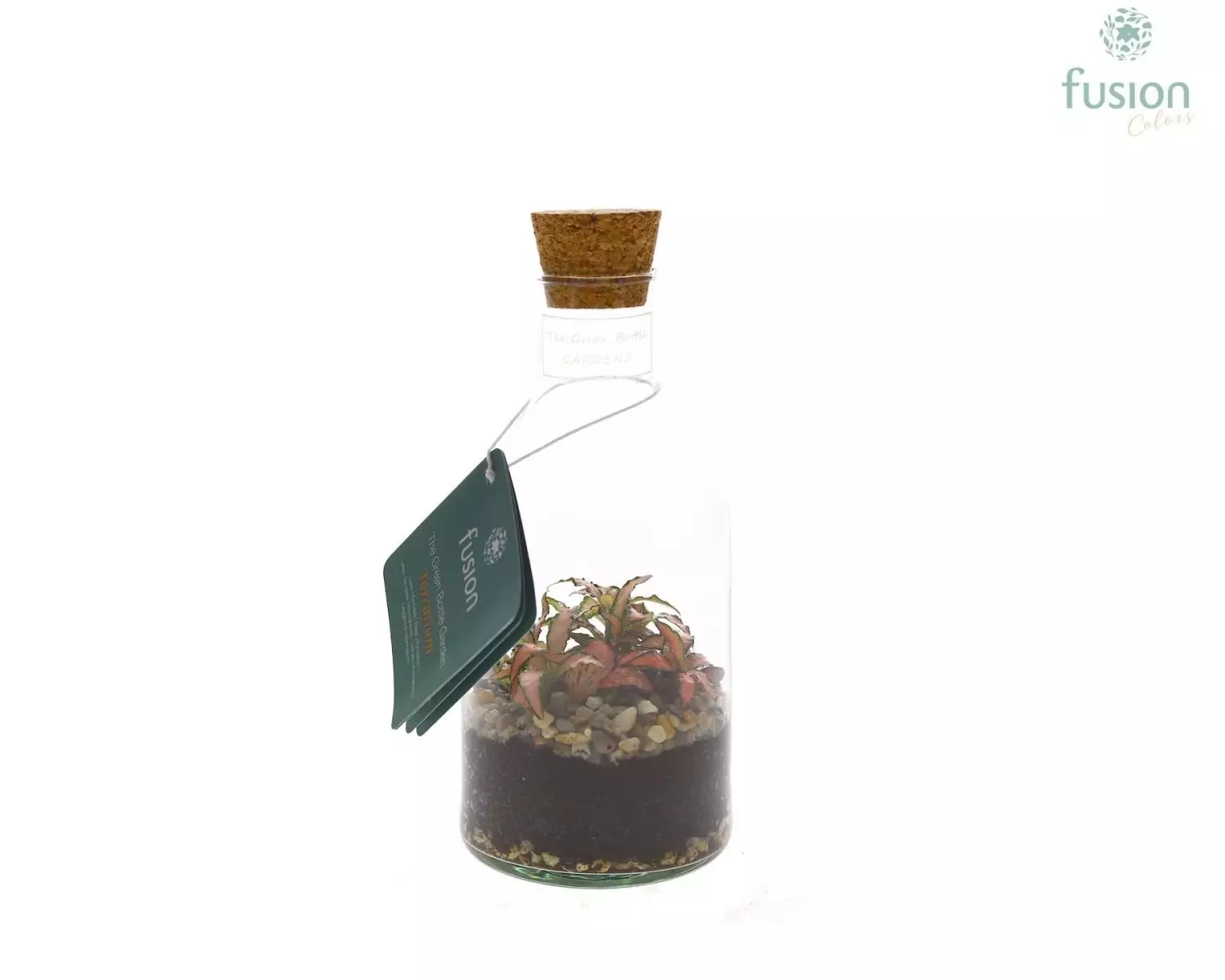 Terrarium bouteille en verre