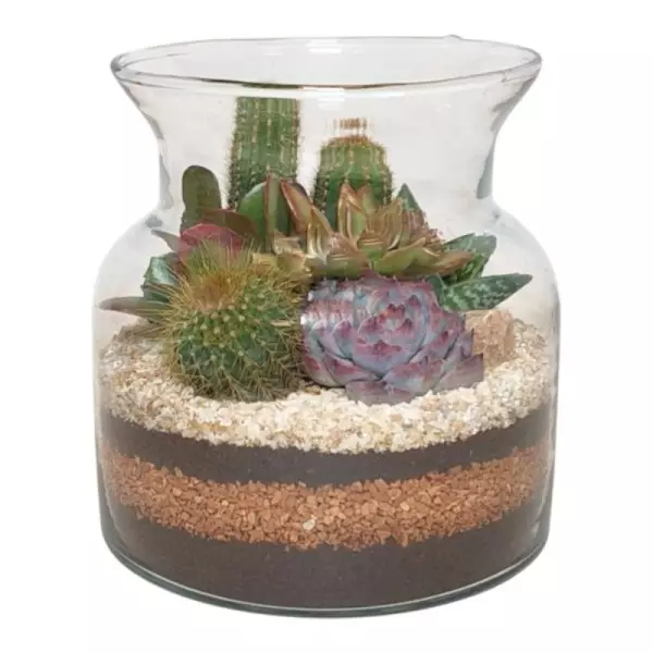 Composition de cactus et succulentes en terrarium de verre