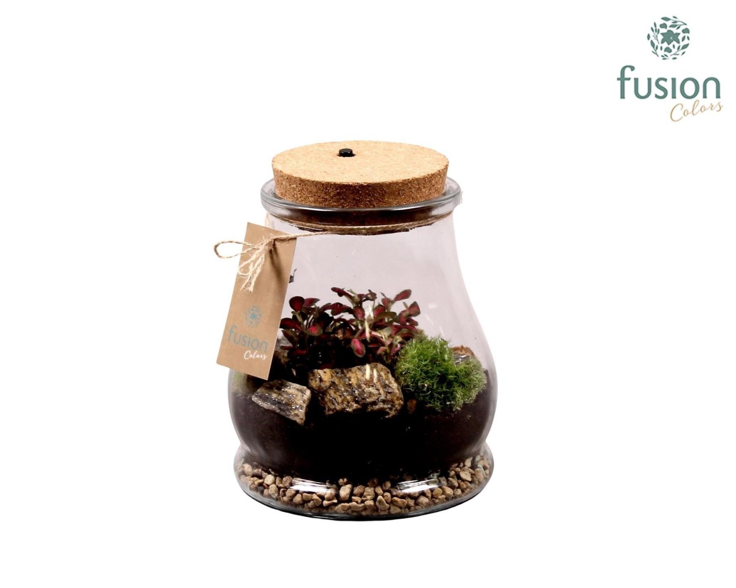 Terrarium goutte en verre avec bouchon en liège et éclairage LED