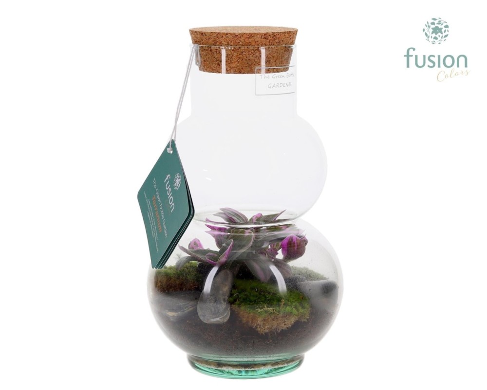 Terrarium bouteille en verre