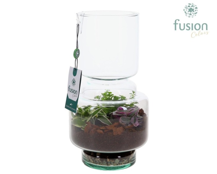 Terrarium bouteille en verre