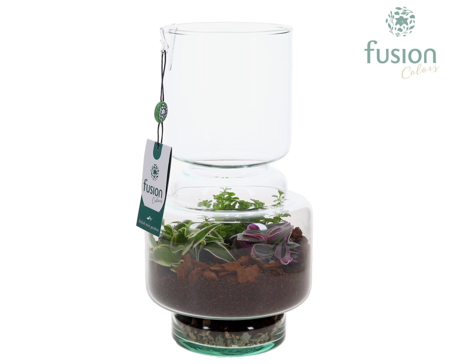 Terrarium bouteille en verre