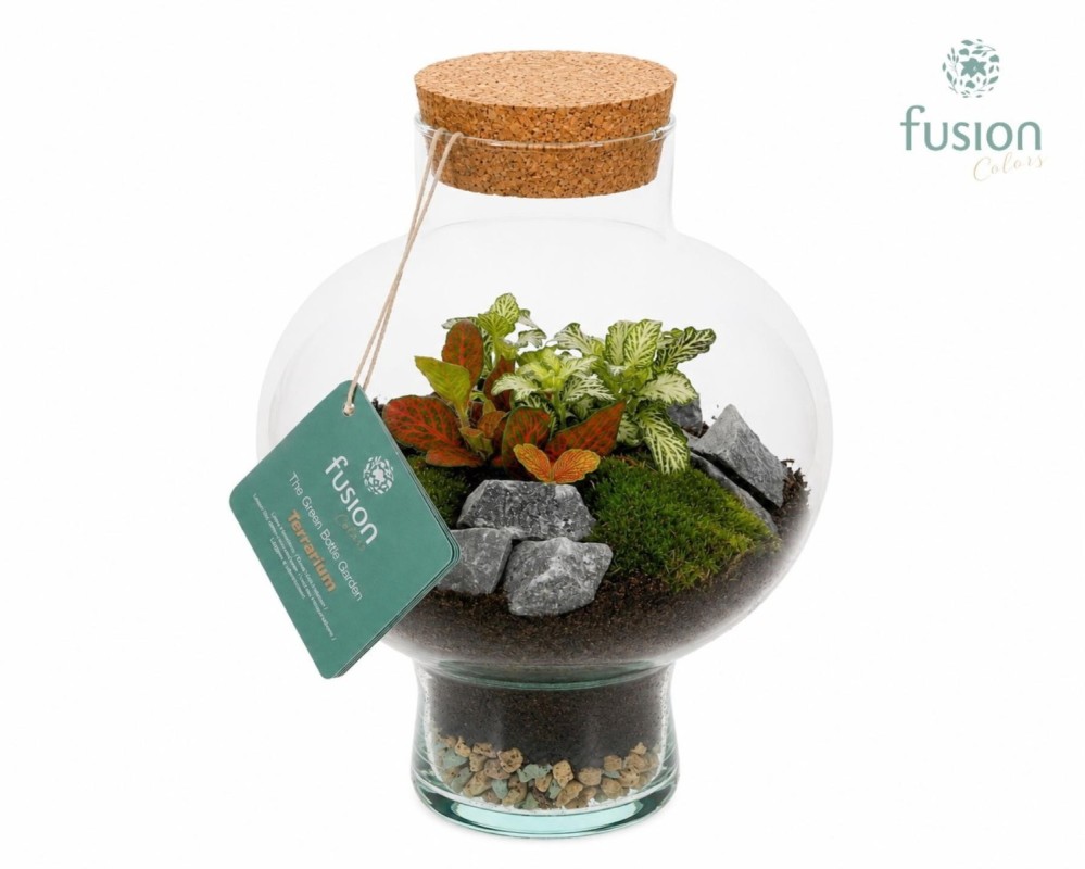 Terrarium bouteille en verre