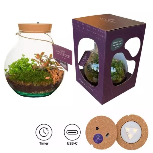 Terrarium Venus en coffret