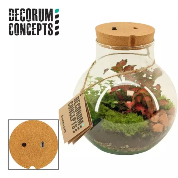Terrarium Venus avec LED rechargeable – Ø 19 cm