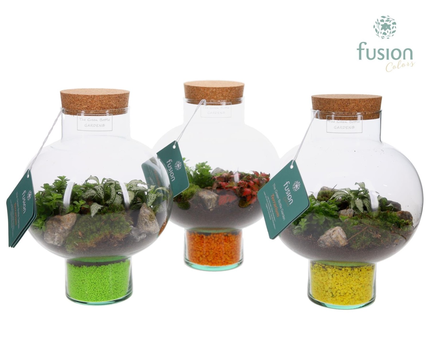 Terrarium bouteille en verre