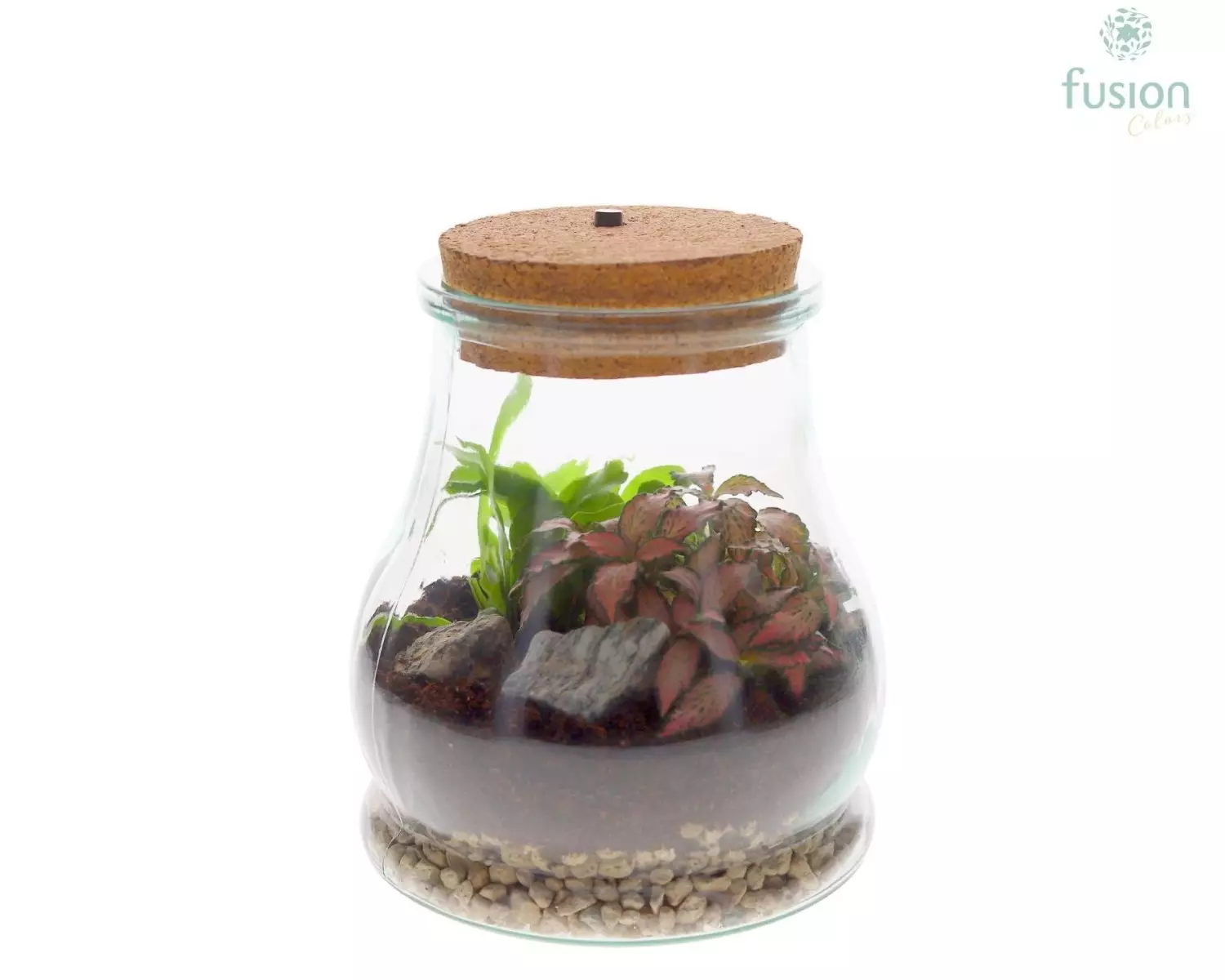 Terrarium goutte en verre avec éclairage LED et composition végétale – Ø 15 cm