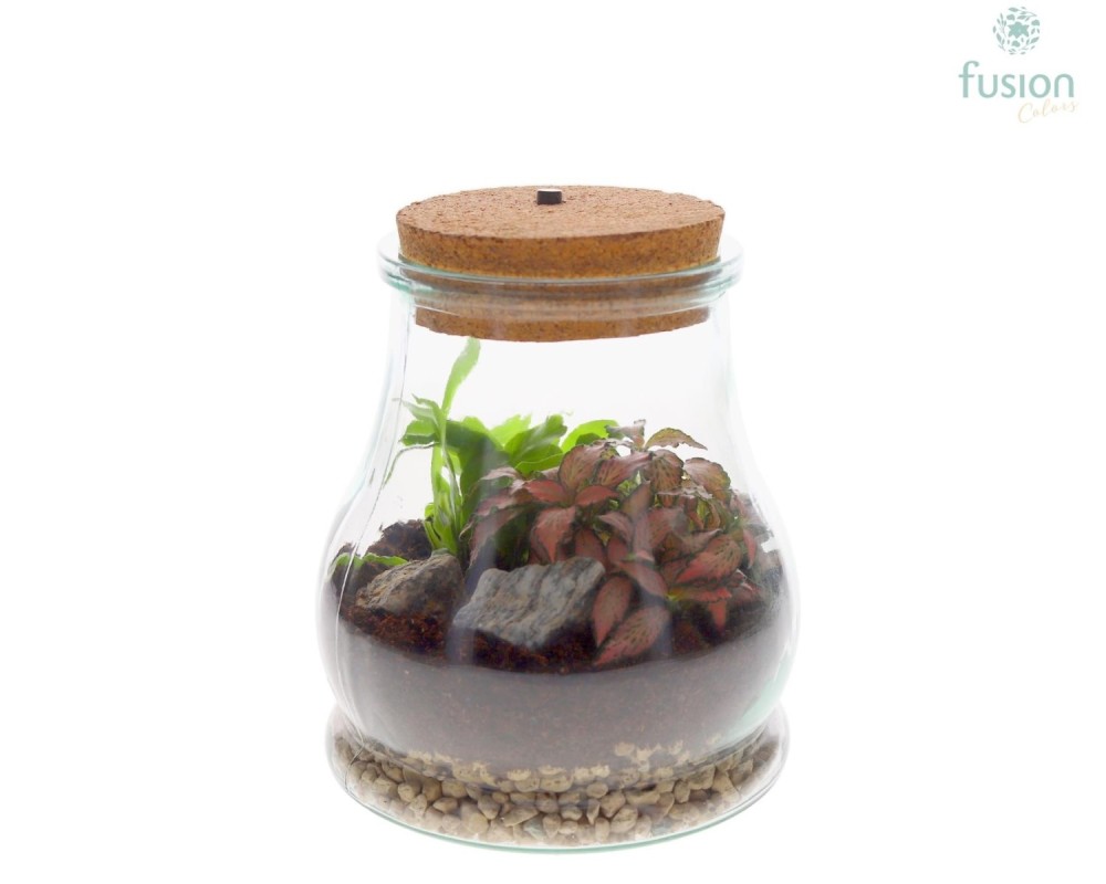Terrarium goutte en verre avec éclairage LED et composition végétale – Ø 15 cm