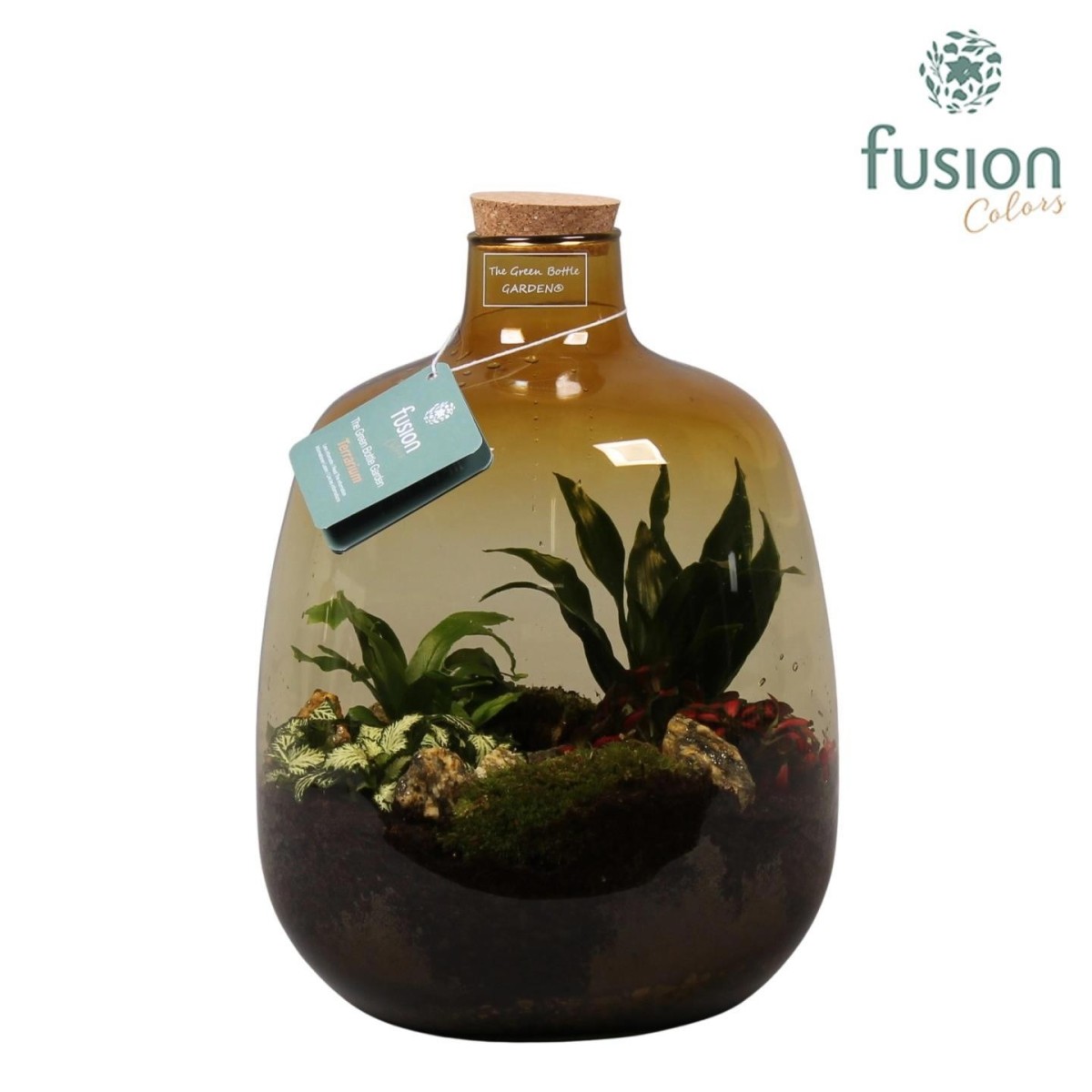 Terrarium en verre ocre avec composition végétale