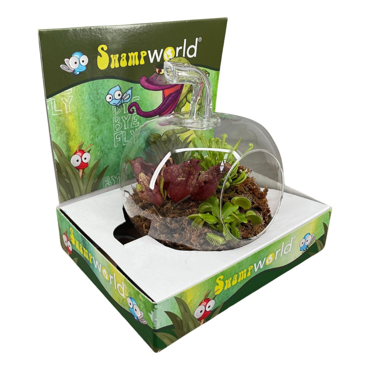 Terrarium en verre forme pomme avec présentoir