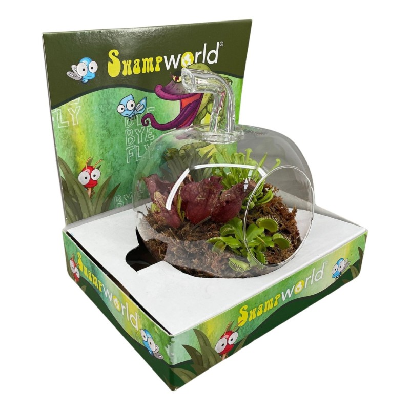 Terrarium en verre forme pomme avec présentoir