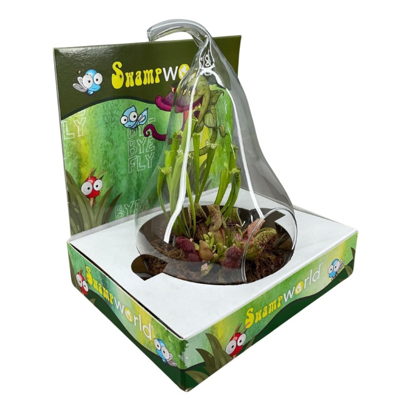 Terrarium en verre forme poire avec présentoir