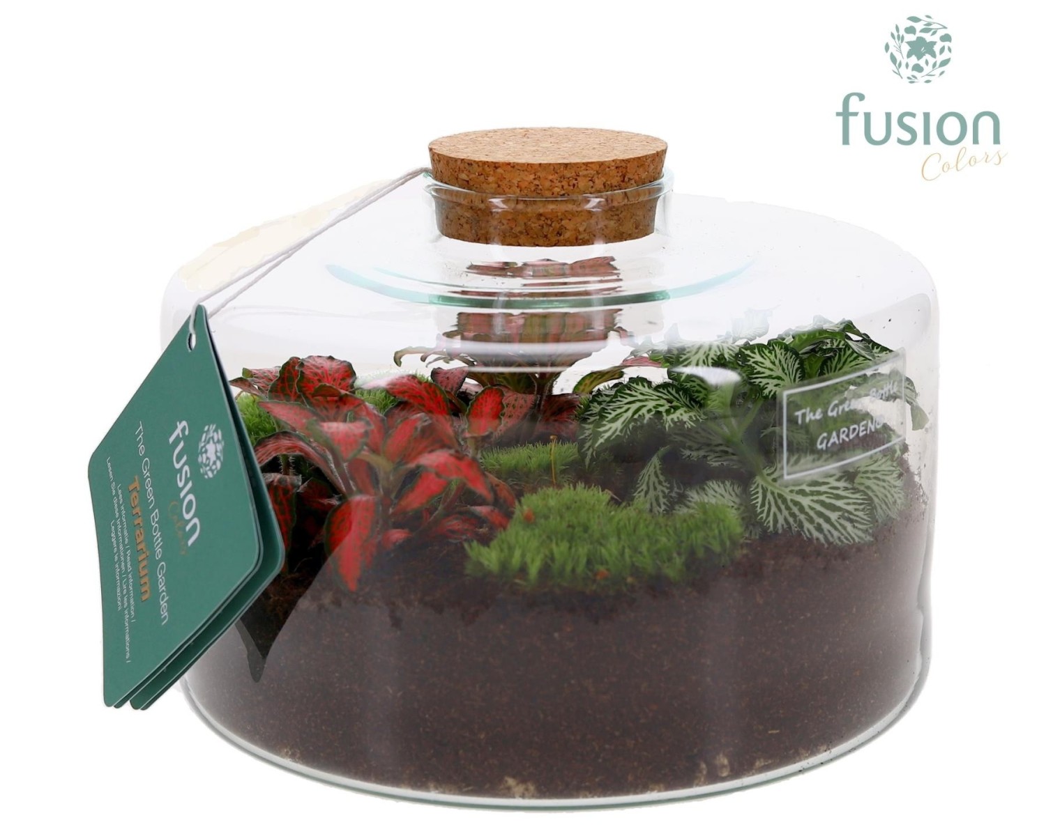 Terrarium bouteille en verre