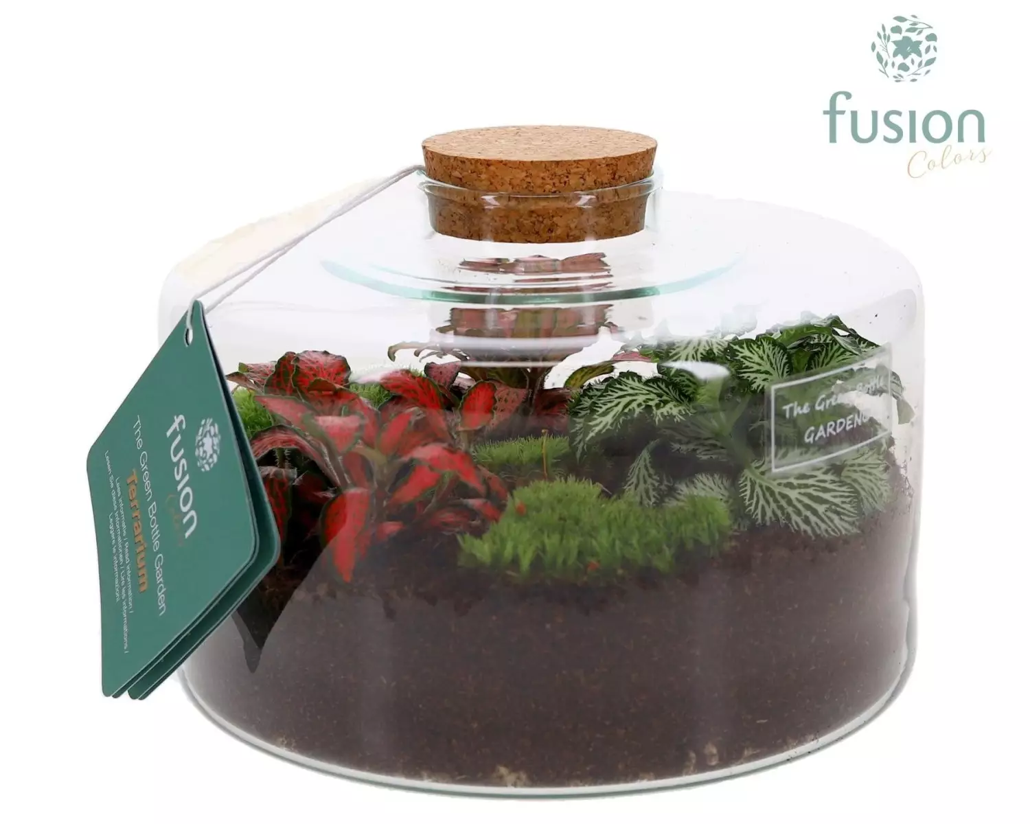 Terrarium bouteille en verre