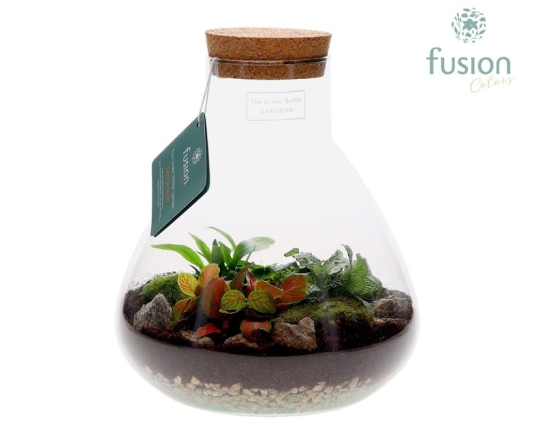 Terrarium pyramide