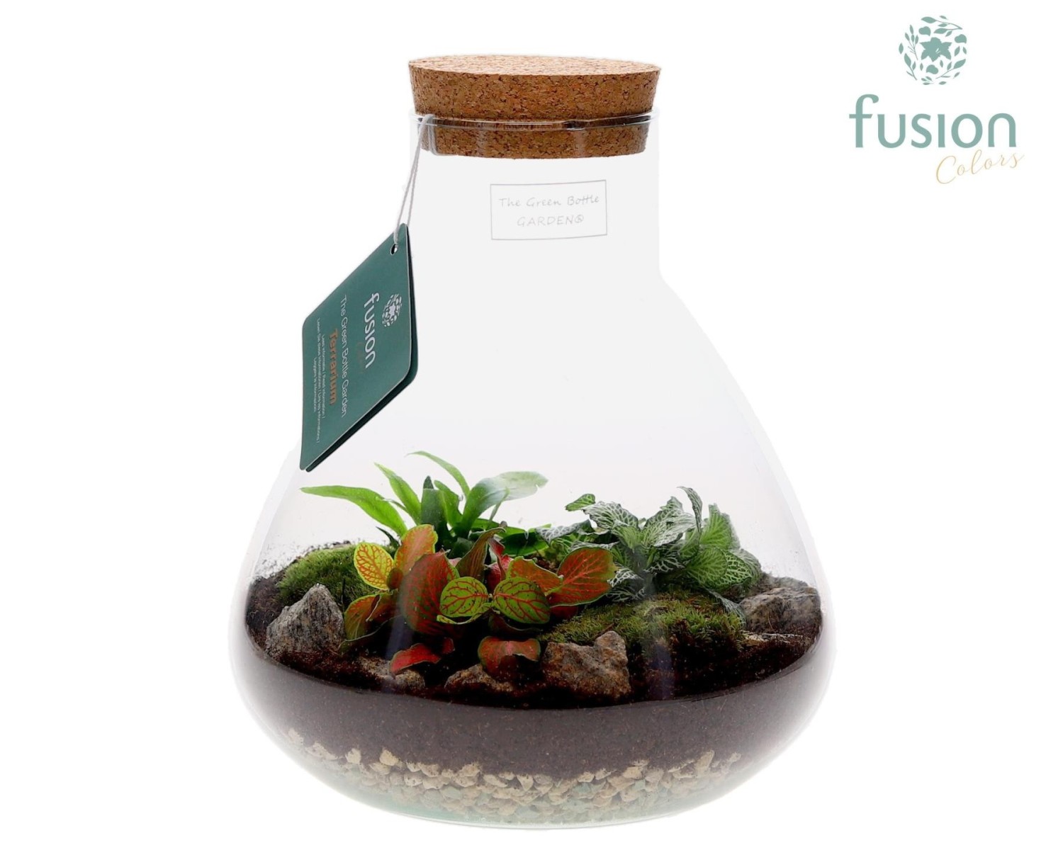 Terrarium pyramide