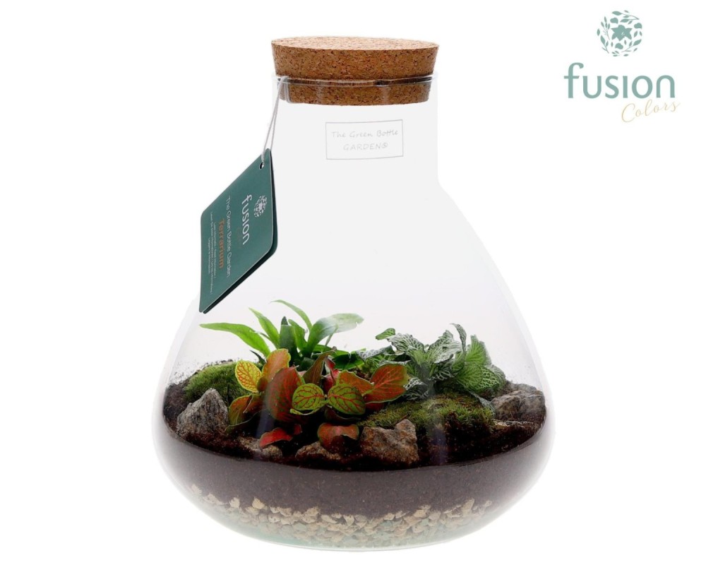 Terrarium pyramide