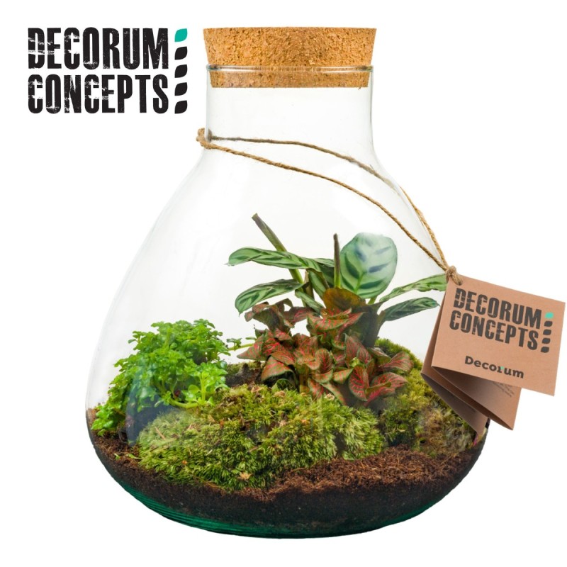 Terrarium Erlenmeyer