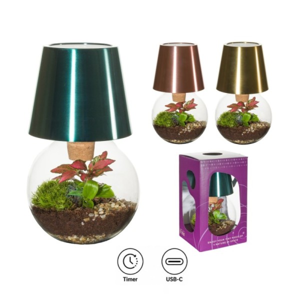 Terrarium Cosmolight avec LED rechargeable