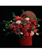 Créations Florales Originales | Verttige Fleuriste